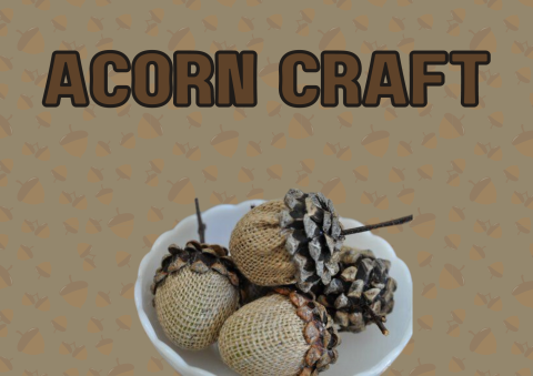 Acorn Craft