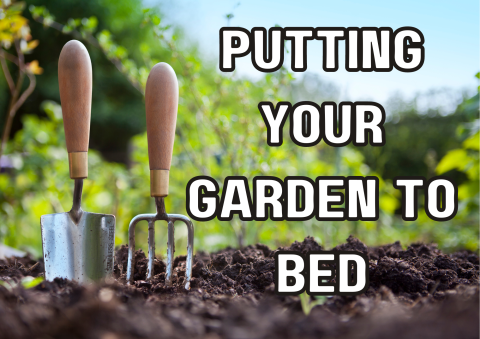 Picture of a garden and gardening tools.