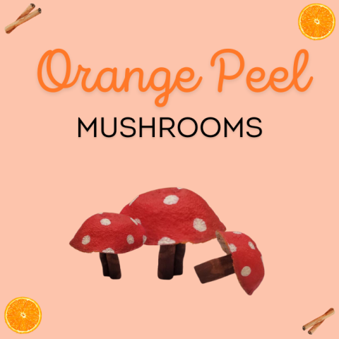 The text at the top of the image reads "Orange Peel Mushrooms". There are mushroom underneath it that have been made with orange peels and cinnamon. 