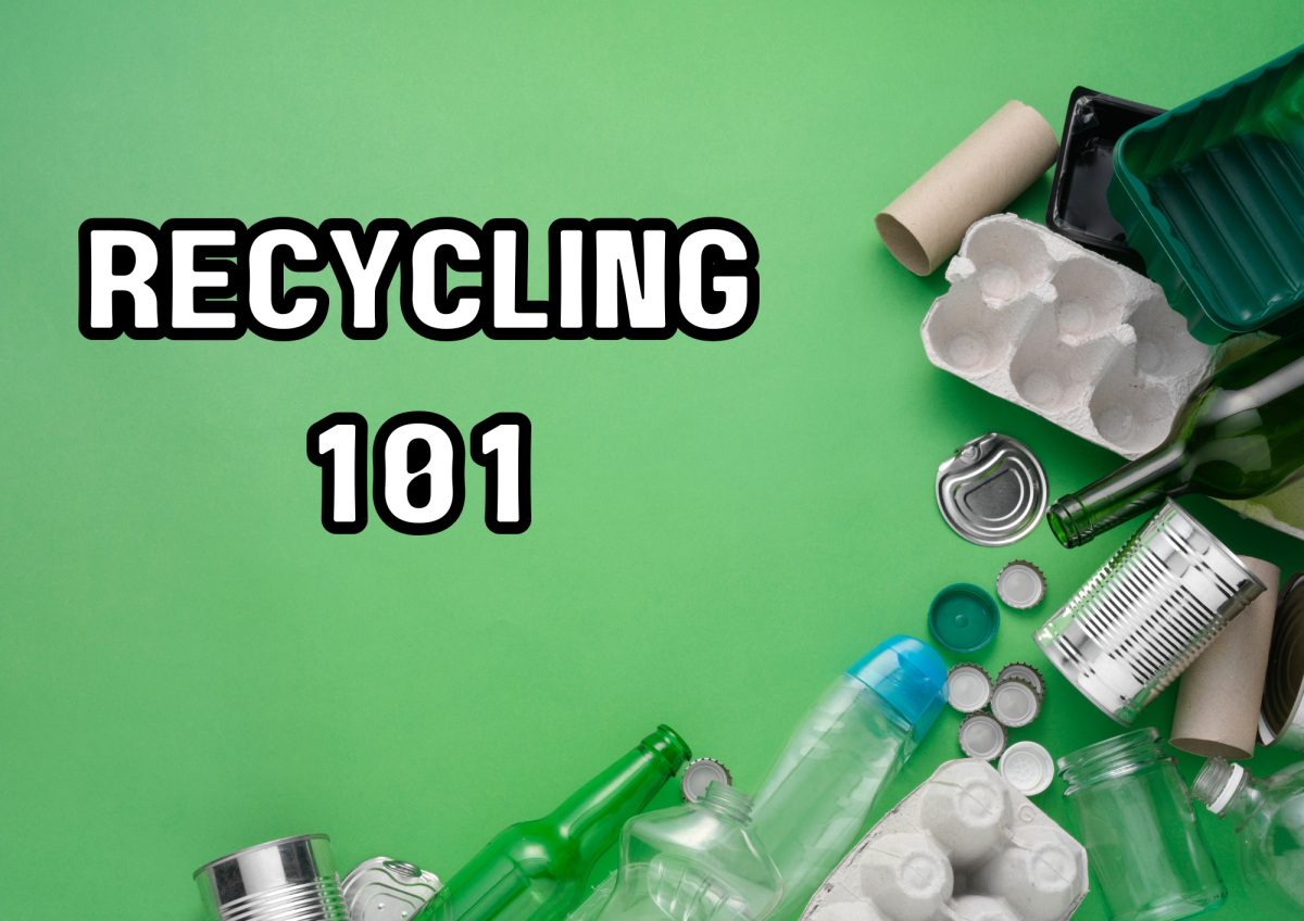 A layout of assorted recyclable materials with the text "RECYCLING 101" on a green background.